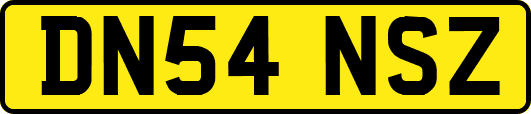 DN54NSZ