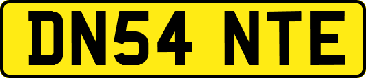 DN54NTE