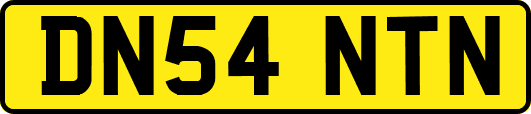 DN54NTN