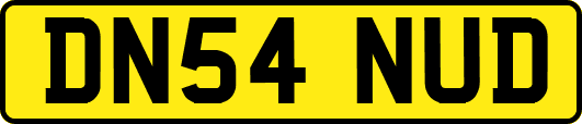 DN54NUD