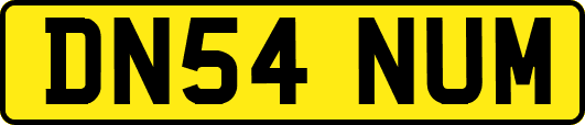 DN54NUM