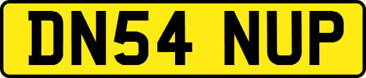 DN54NUP