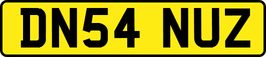 DN54NUZ