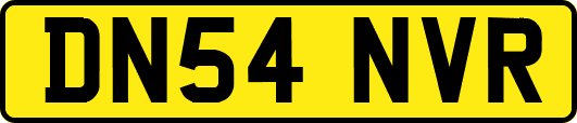 DN54NVR