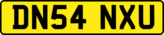 DN54NXU