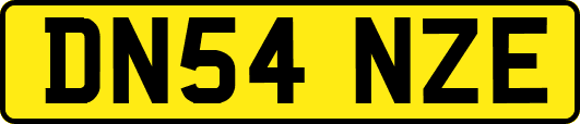 DN54NZE