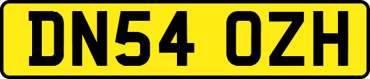 DN54OZH