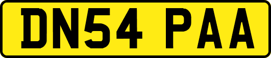 DN54PAA