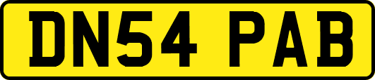 DN54PAB