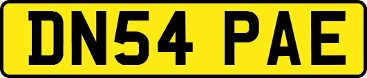 DN54PAE