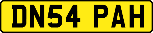 DN54PAH
