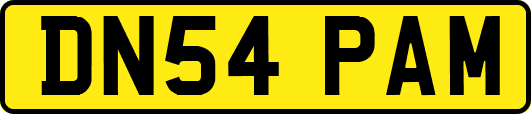 DN54PAM