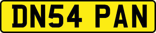 DN54PAN