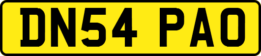 DN54PAO