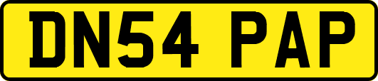 DN54PAP
