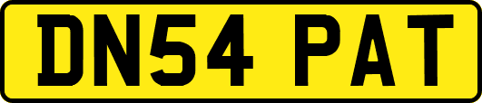 DN54PAT