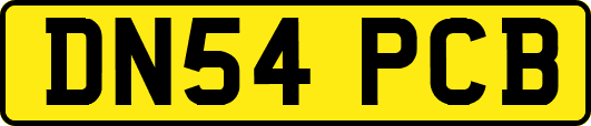 DN54PCB