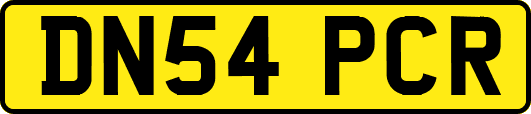 DN54PCR