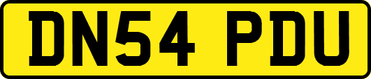 DN54PDU