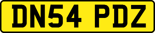 DN54PDZ