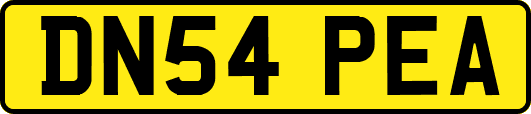 DN54PEA