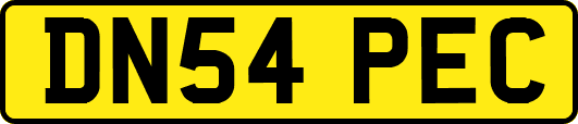 DN54PEC