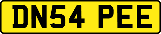 DN54PEE
