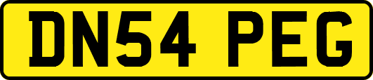 DN54PEG