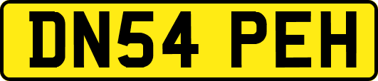 DN54PEH