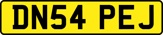 DN54PEJ