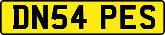DN54PES