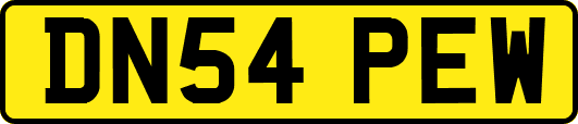 DN54PEW