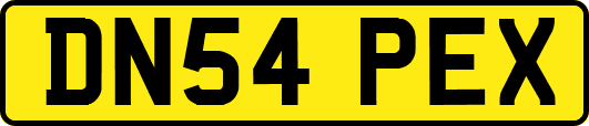 DN54PEX