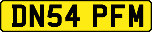 DN54PFM