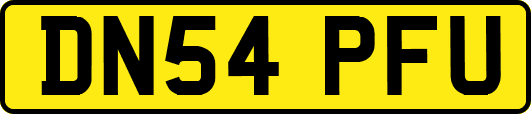 DN54PFU