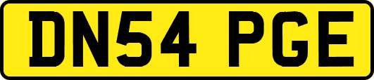 DN54PGE