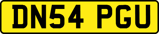 DN54PGU