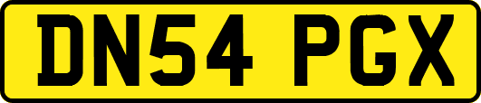 DN54PGX
