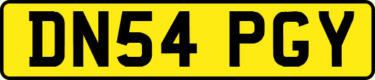 DN54PGY