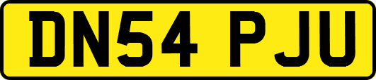 DN54PJU