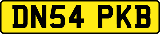 DN54PKB