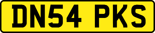 DN54PKS