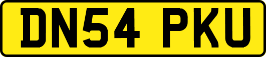 DN54PKU