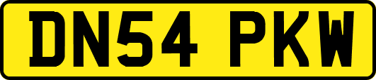 DN54PKW