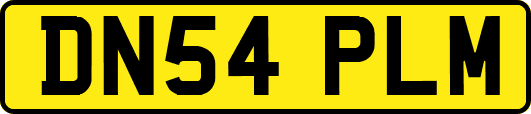 DN54PLM