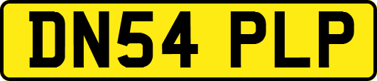 DN54PLP