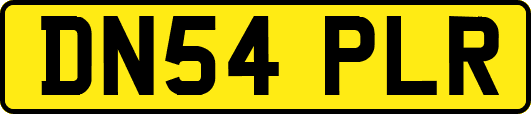 DN54PLR