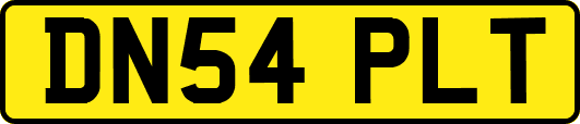 DN54PLT