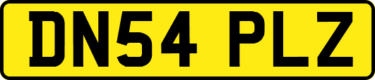 DN54PLZ