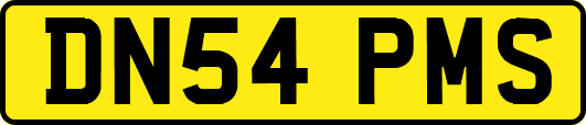 DN54PMS